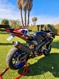 Aprilia Tuono R replica Haga