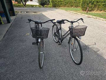 coppia biciclette da passeggio