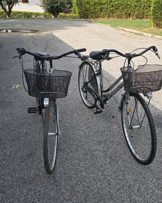 coppia biciclette da passeggio