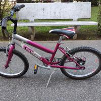 Bici Olmo 20"