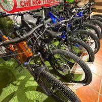 E- BIKE EX NOLEGGIO – GIANT