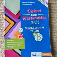 colori della matematica sasso