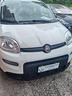 fiat-panda-1-0-hybrid-no-le-gg-io-a-riscatto-no-sc