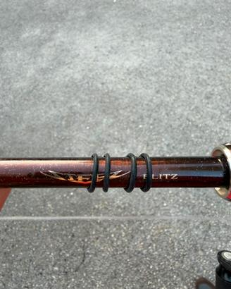 Canna Daiwa Steez Blitz