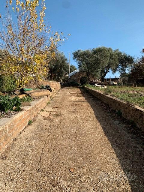 Gallicano nel Lazio rustico con terreno - Vista 3