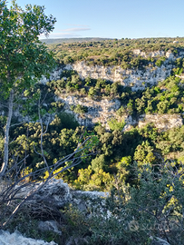 Terreno agricolo edificabile