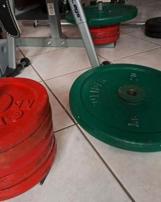 Pesi palestra