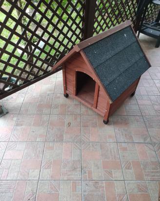 cuccia per cane