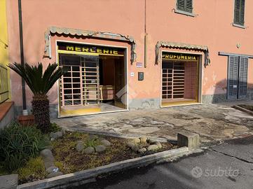 NEGOZIO A PONTE BUGGIANESE