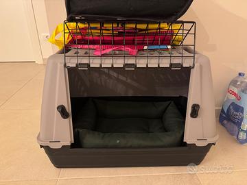 Kennel taglia media