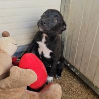 Lipari: 3 mesi taglia contenuta