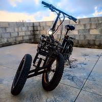 bici elettrica fat bike ruote basculanti 