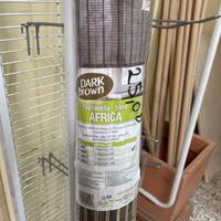 Tapparella africa