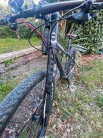 Cannondale F29