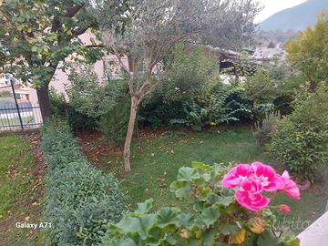 Villa indipendente Monteforte Irpino con giardino