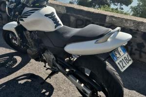 Hornet 600 2001