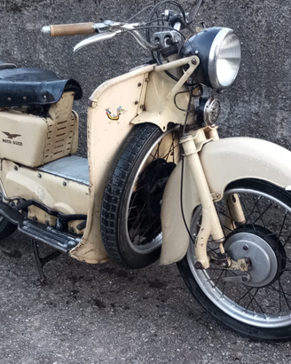 Guzzi galletto