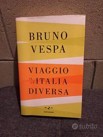 Libro Bruno Vespa, Viaggio in un'Italia diversa