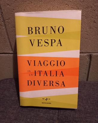 Libro Bruno Vespa, Viaggio in un'Italia diversa