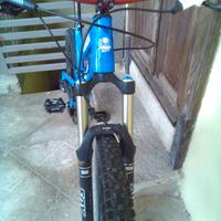 Mongoose teocali