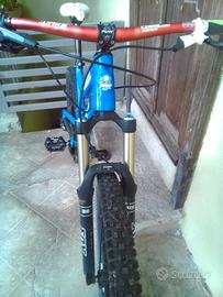 Mongoose teocali