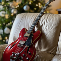 Epiphone es-355  Shinichi Ubukata
