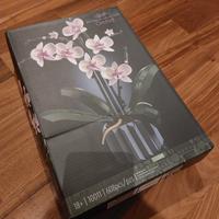 set Botanical Collection orchidee