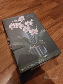 set Botanical Collection orchidee