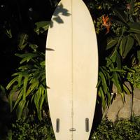 surfboard twinfin fish tavola surf AJW