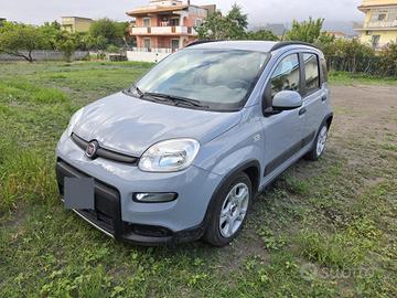 panda berlina