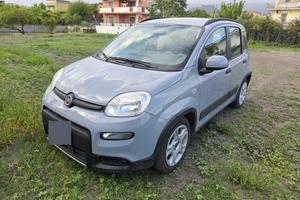 panda berlina