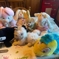 Peluches vari