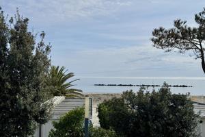 Fronte Mare Lido di Pomposa incantevole vista