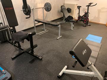 Palestra completa