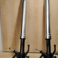 Steli completi Forcella kawasaki ninja zx6r 2007 2