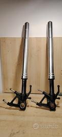 Steli completi Forcella kawasaki ninja zx6r 2007 2
