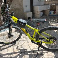 Bicicletta professionale
