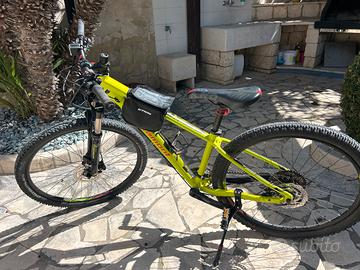 Bicicletta professionale