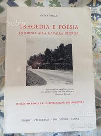 Tragedia e poesia intorno alla cavalla storna-