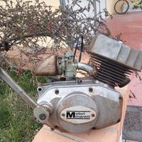 Minarelli 50cc 