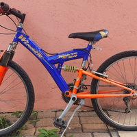 Mountain bike