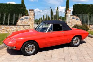Alfa Romeo Spider Duetto osso di seppia 1750