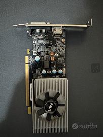 Scheda video nvidia gt 1030 2048mb gddr5