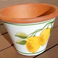 vaso in terracotta smaltato