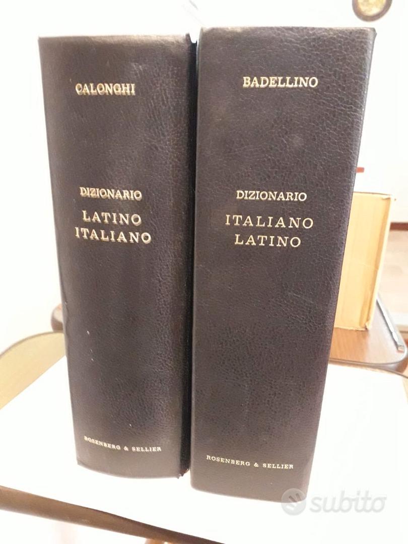 dizionario - Libri e Riviste In vendita a Firenze