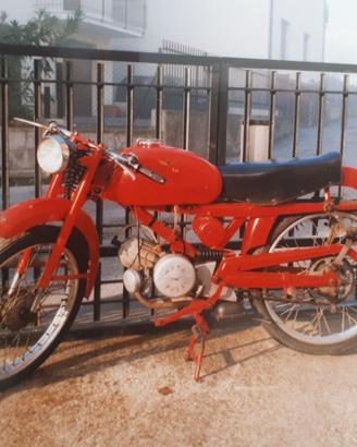 Moto Guzzi Cardellino 73 - 1960