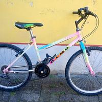 Biciclette usate funzionanti da
