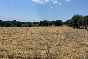 Terreno Residenziale Monteparano [GP2515VRG]