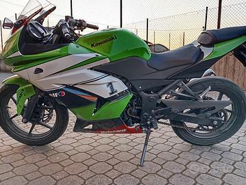 Kawasaki Ninja 250R