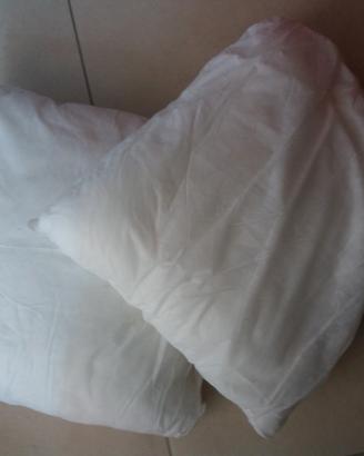 Cuscini arredo